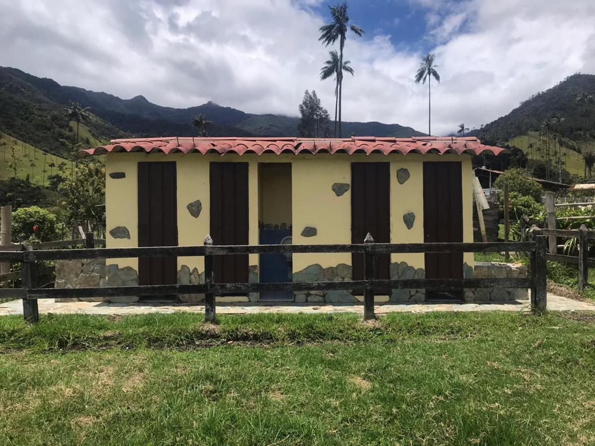 Refugio Nidos Del Condor Cocora Саленто Екстериор снимка