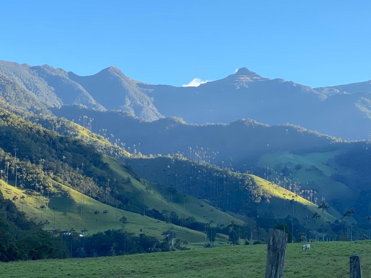 Refugio Nidos Del Condor Cocora Саленто Екстериор снимка